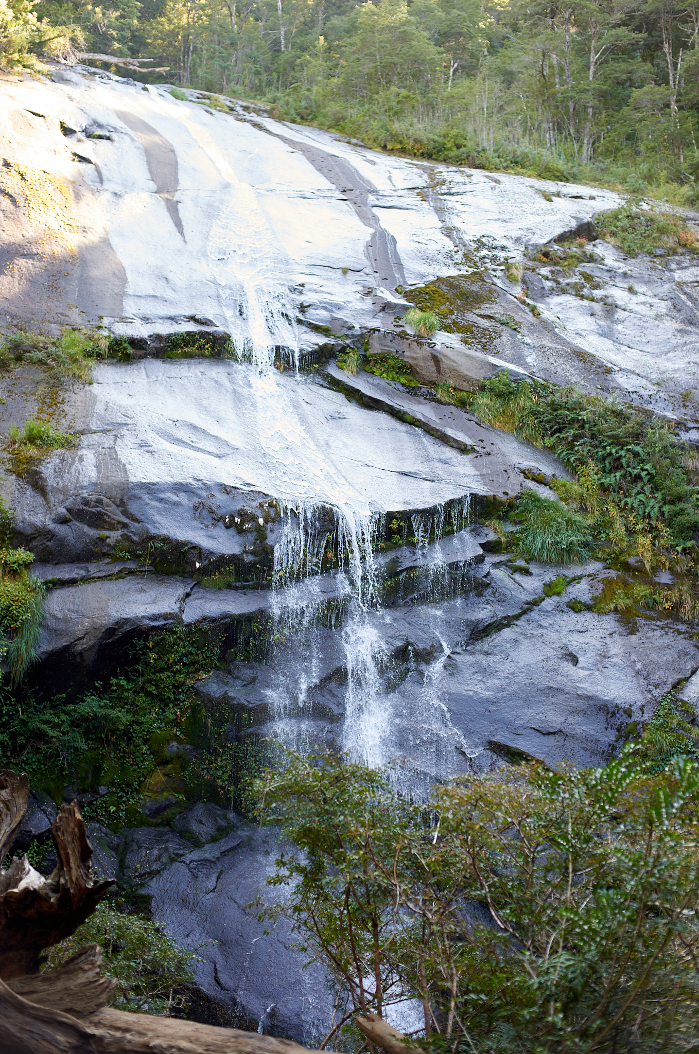 20200317 876 [칠레] 푸콘 우에르케우에 국립공원 트레킹